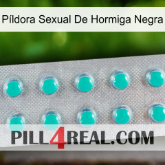 Píldora Sexual De Hormiga Negra 28